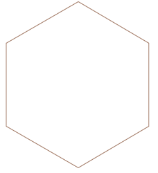 hexagon-pelaprat-3